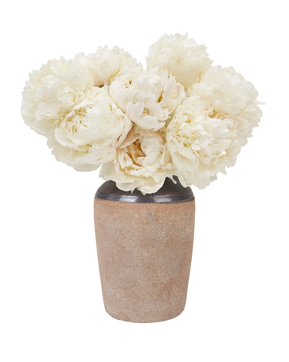 Peonies I Love