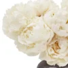 Peonies I Love Details1