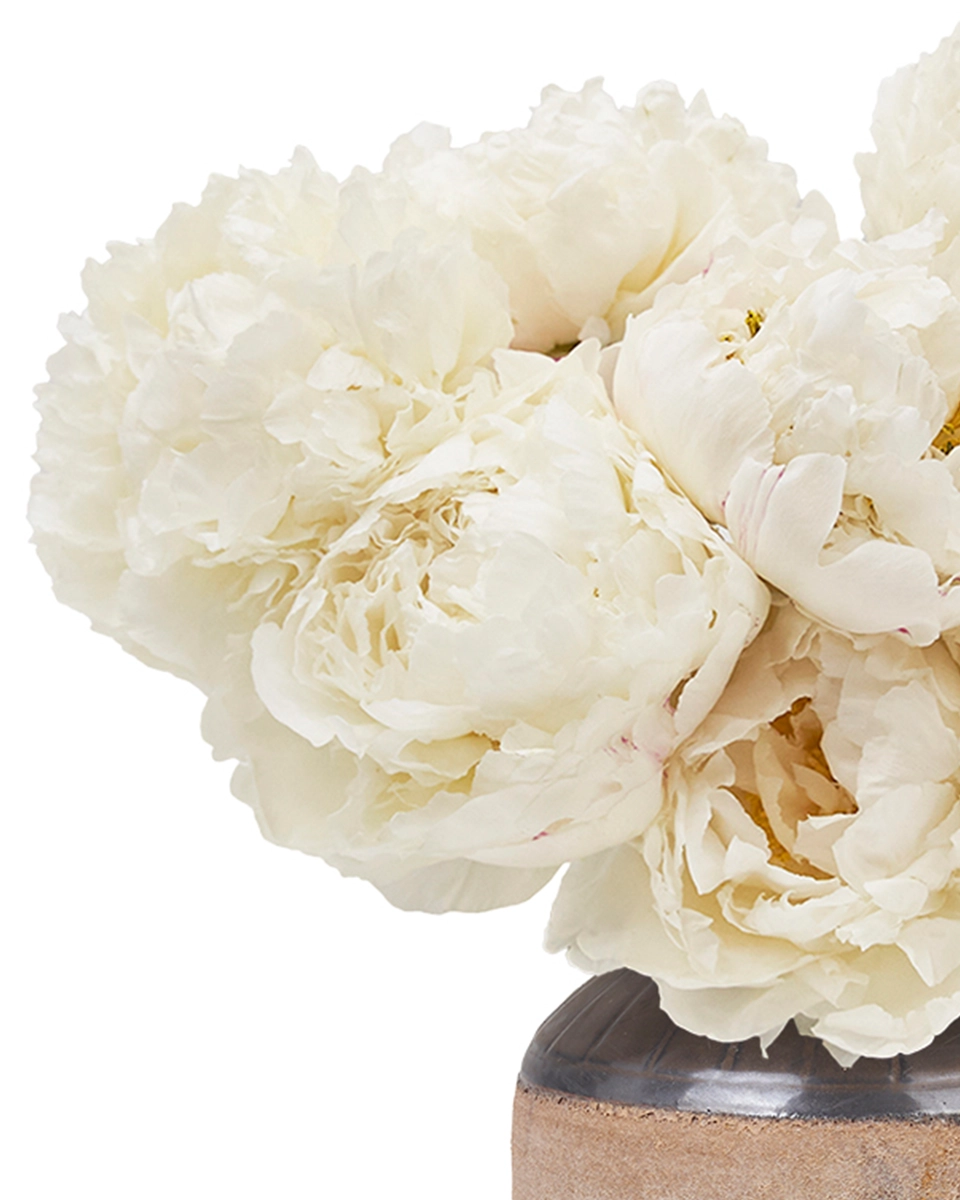 Peonies I Love Details1