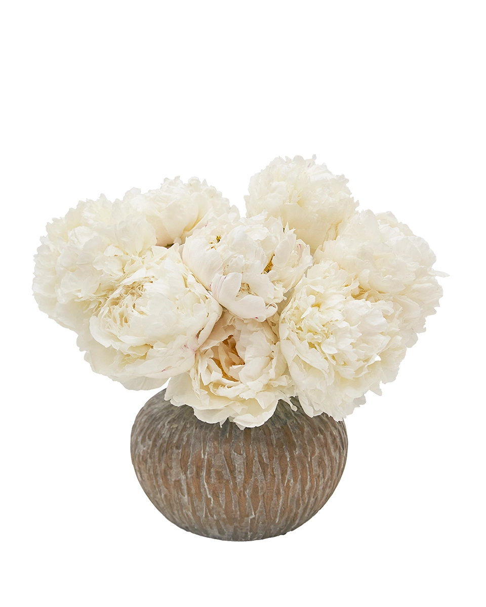 Peonies I Love