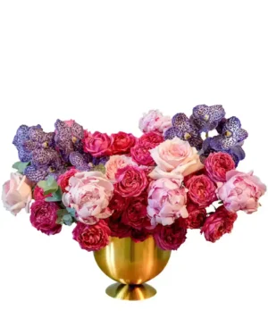 ALWAYS THE FAVORITE 15 Jan 2026