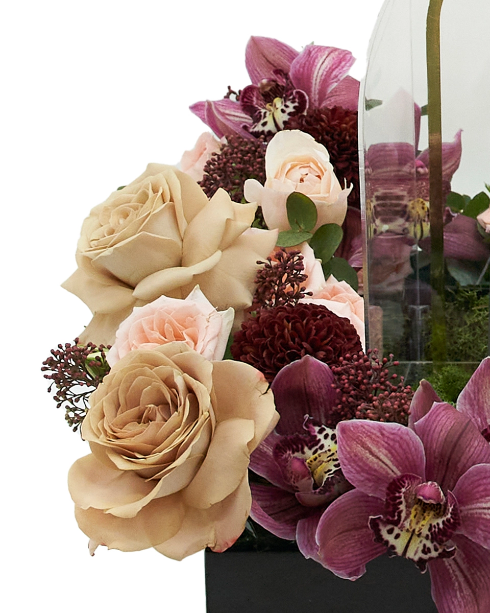 Blooms Under the Crescent 2026 details 2 Blooms Under the Crescent 2026 details 2