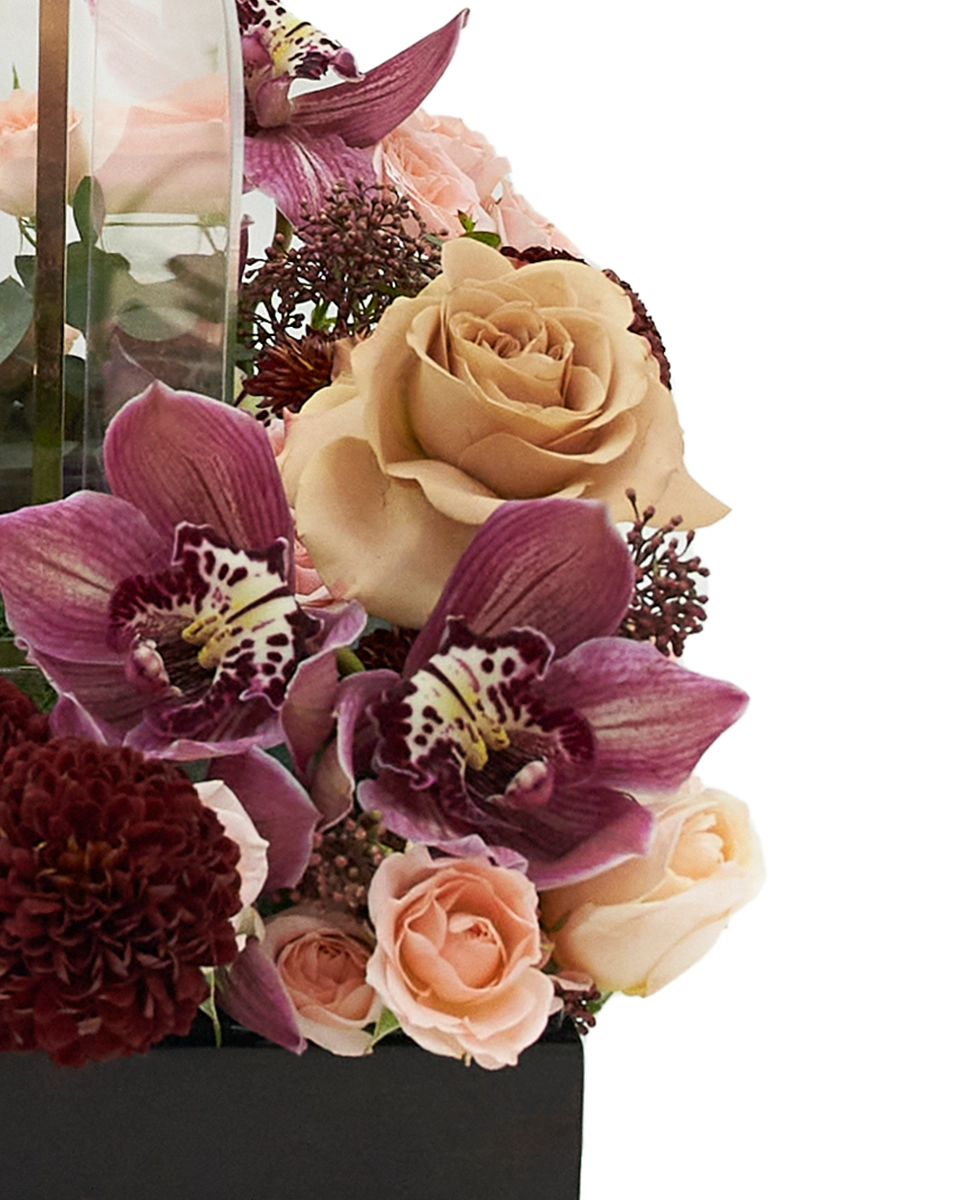 Blooms Under the Crescent 2026 details Blooms Under the Crescent 2026 details