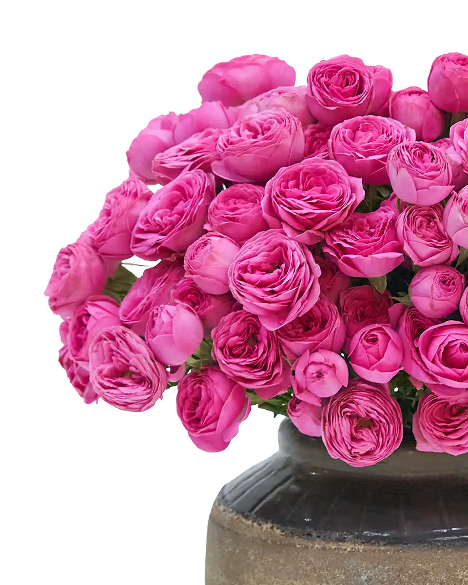 Charming Giselle Re shoot2 Charming Giselle Re shoot2