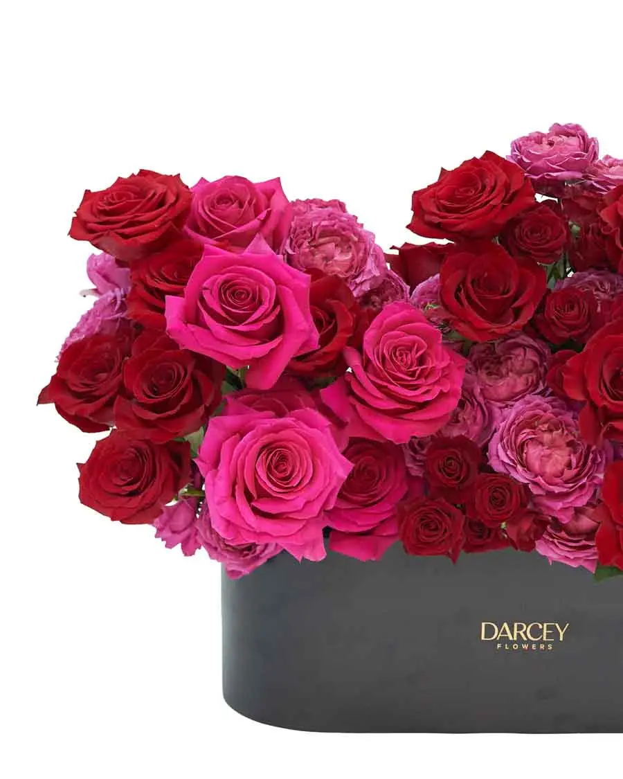 Love Joyfully Details Love Joyfully Details