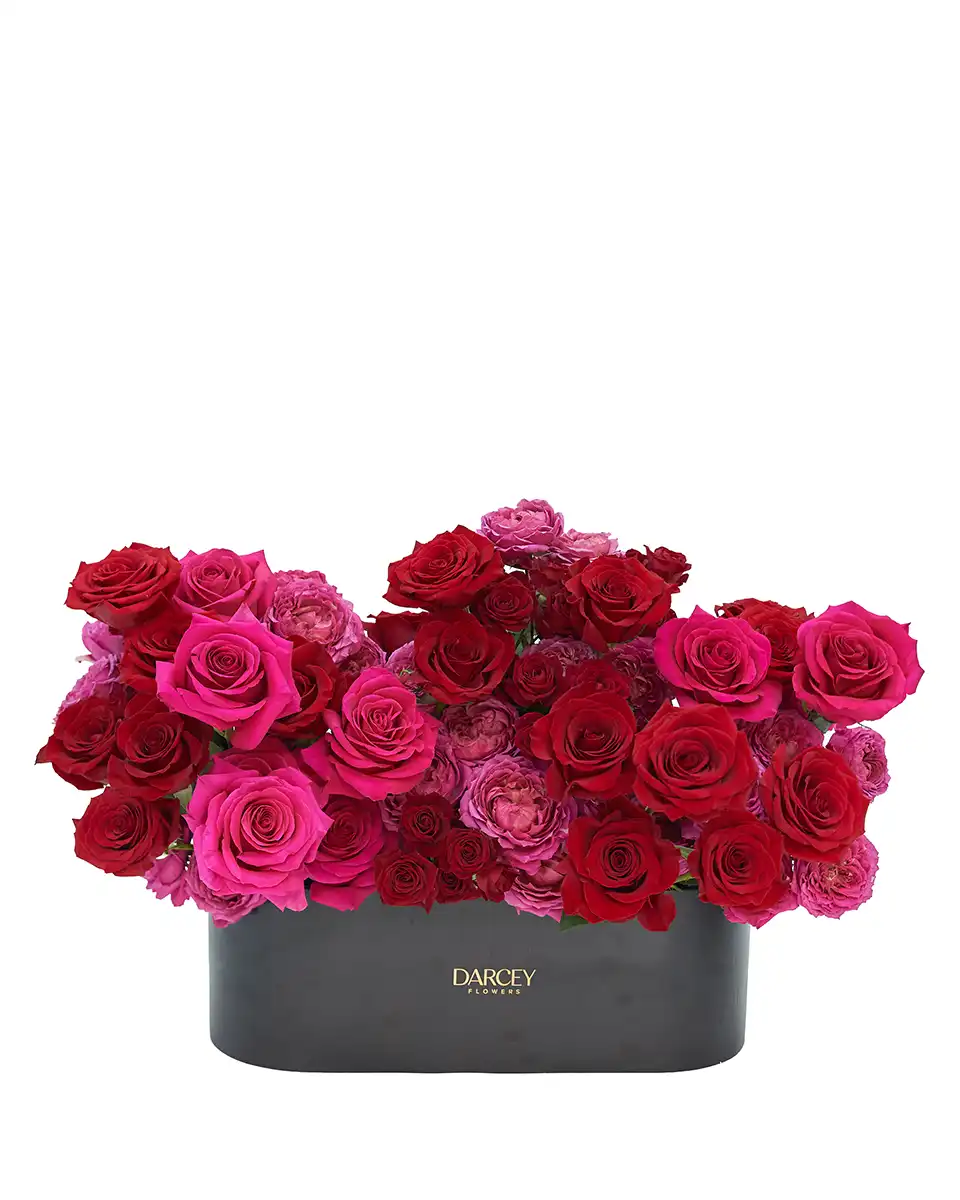 Love Joyfully Love Joyfully