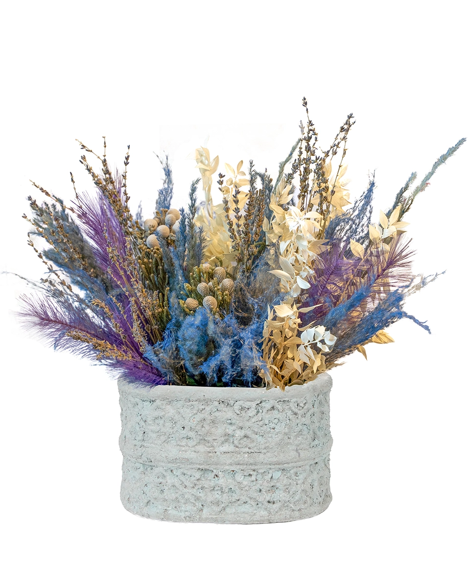 Make A Wish Re Shoot4 2026