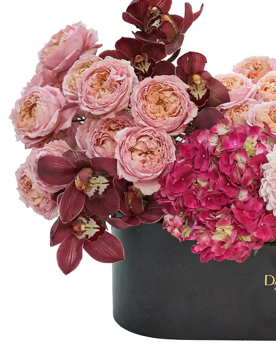 Moonline Notes Without Acrylic Details 2