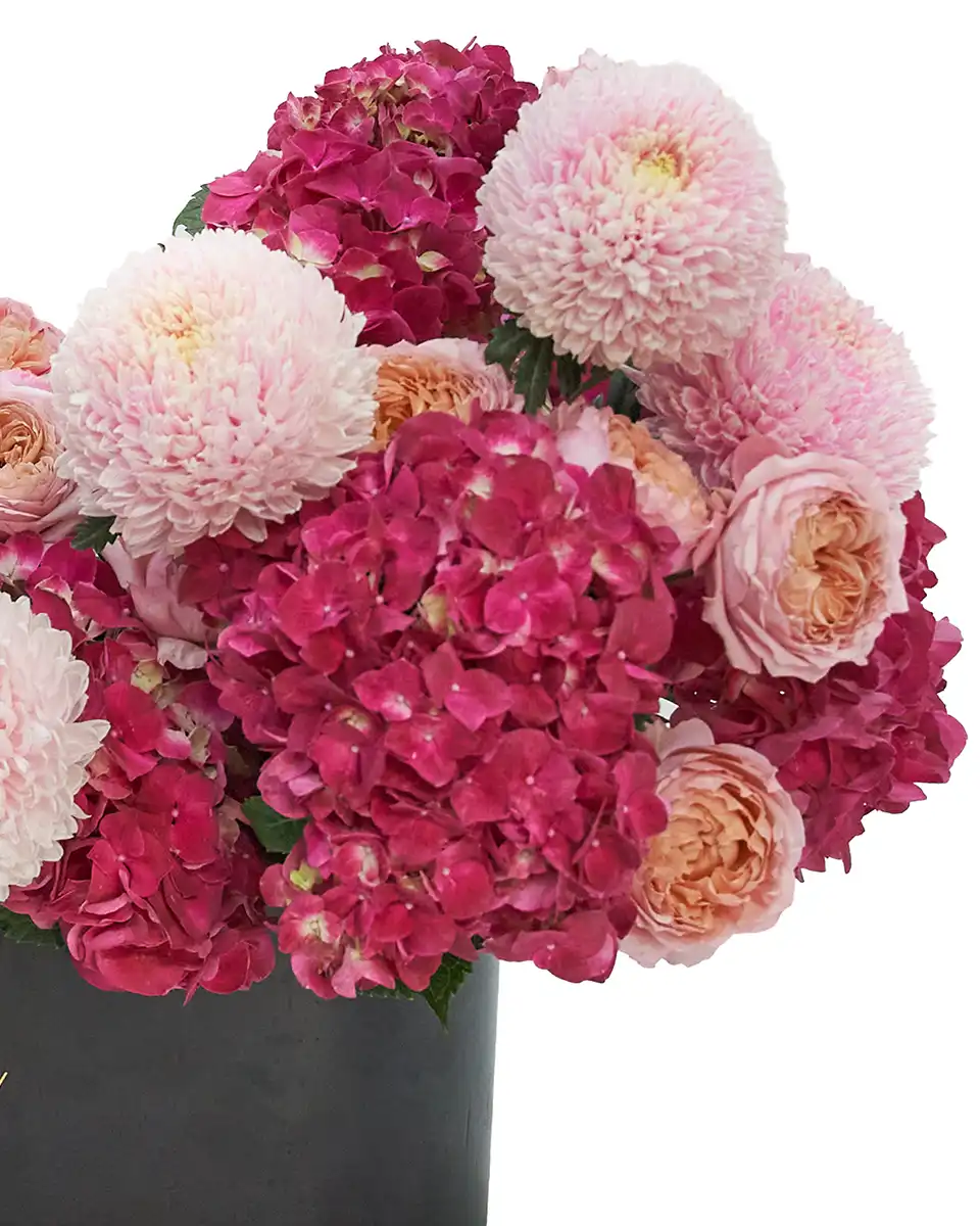 Moonline Notes Without Acrylic Details