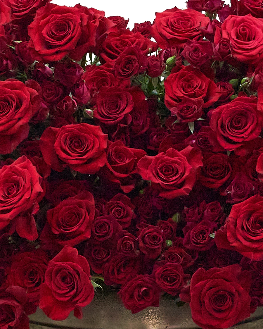 This Kind of Love Details This Kind of Love Details