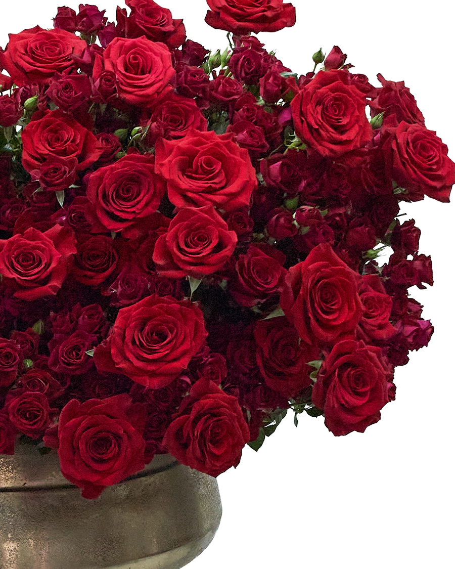 This Kind of Love Details2 This Kind of Love Details2