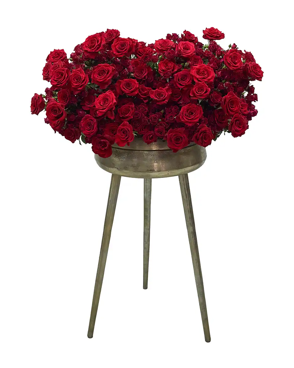 This Kind of Love This Kind of Love