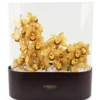 Warm Cinders ColorEdited2 Warm Cinders ColorEdited2