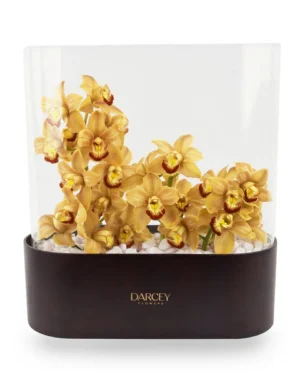 Warm Cinders ColorEdited2