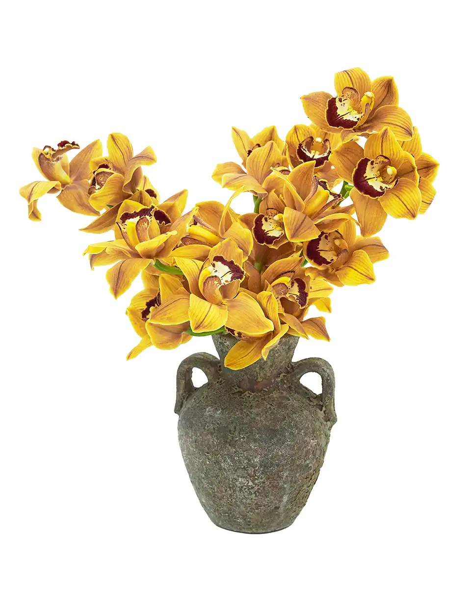 After Glow ColorEdited