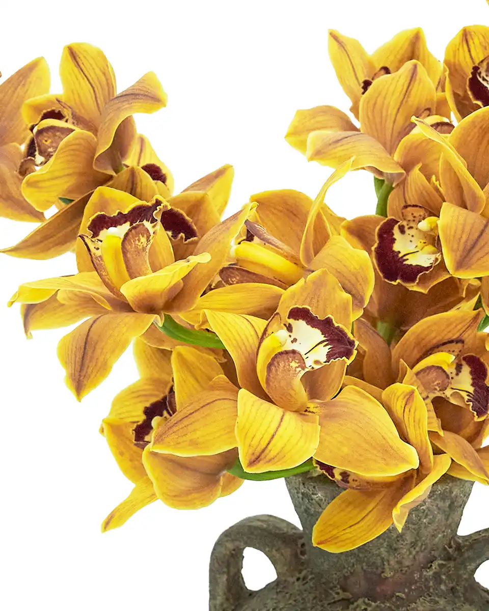 After Glow Details ColorEdited