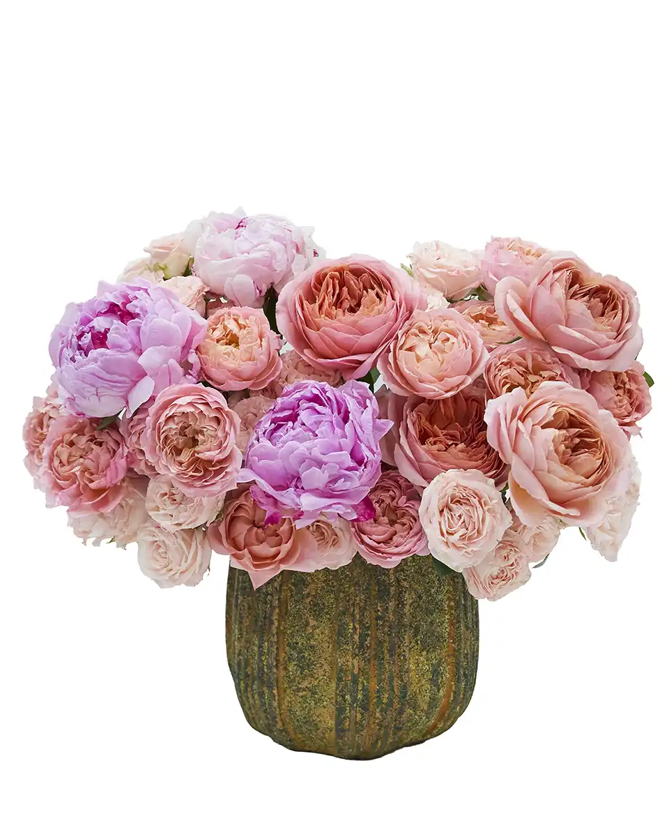 Gentle Hour Gentle Hour