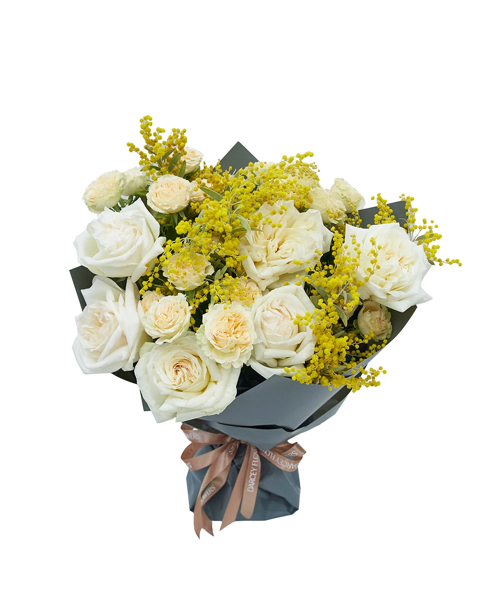 Miss Sunshine Impressive 2026