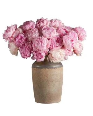 My Love For Peonies Edited