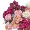 Pretty Rosy details
