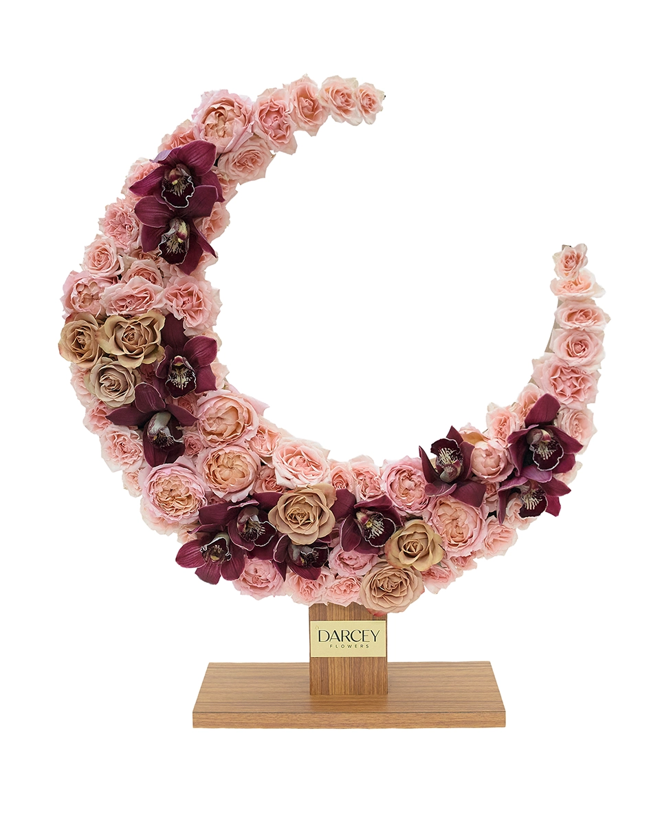 Under The Hilal Large Under The Hilal Large