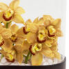 Warm Cinders ColorEdited Details 2 Warm Cinders ColorEdited Details 2