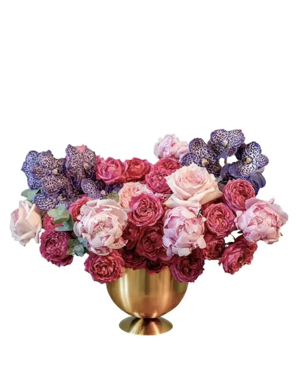 Always Favorite ReShoot