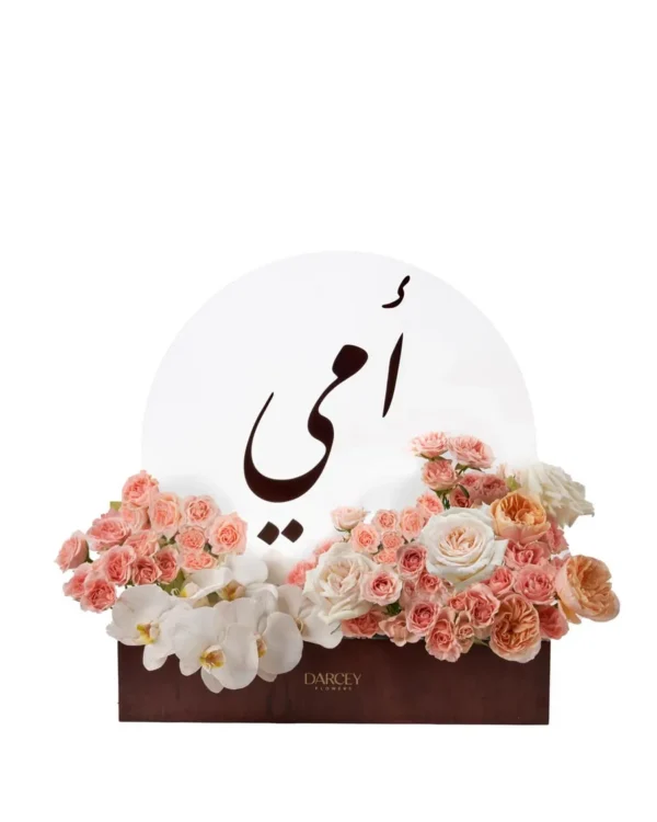 Peaches And Cream Delight Edited 2026