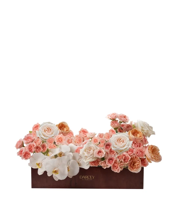 Peaches And Cream Delight Edited 2026 Without UMMI