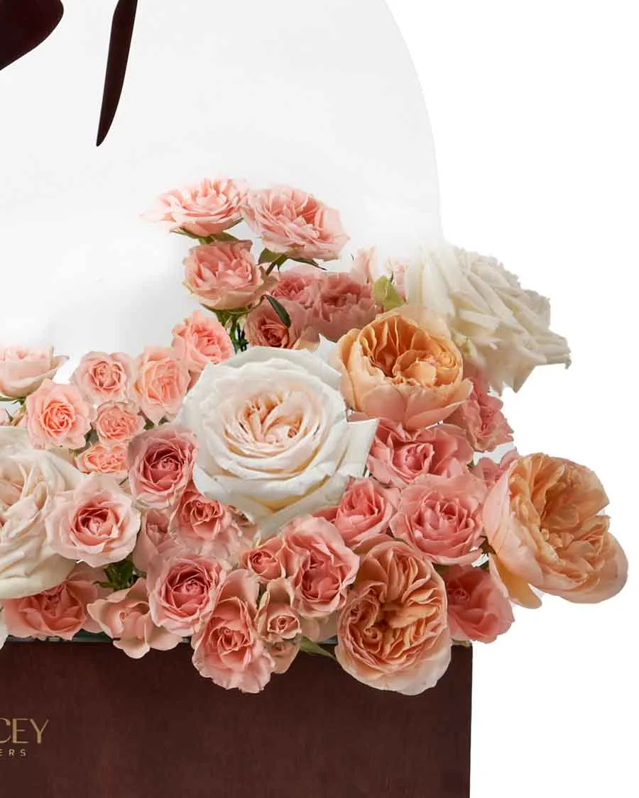 Peaches And Cream Delight Edited 2026 details