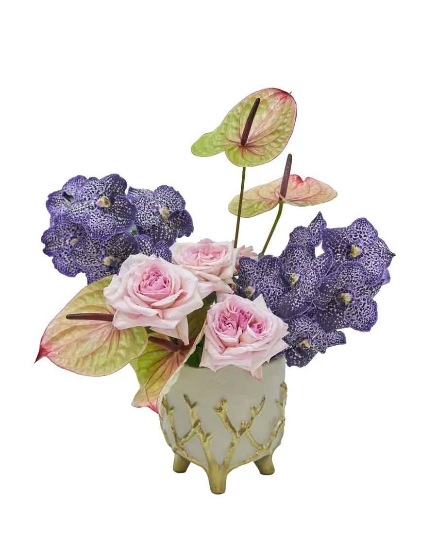 Sweetest Hug Sweetest Hug