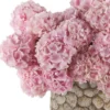 Very Pink 2026 Details Very Pink 2026 Details