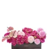 Cerise Celebration