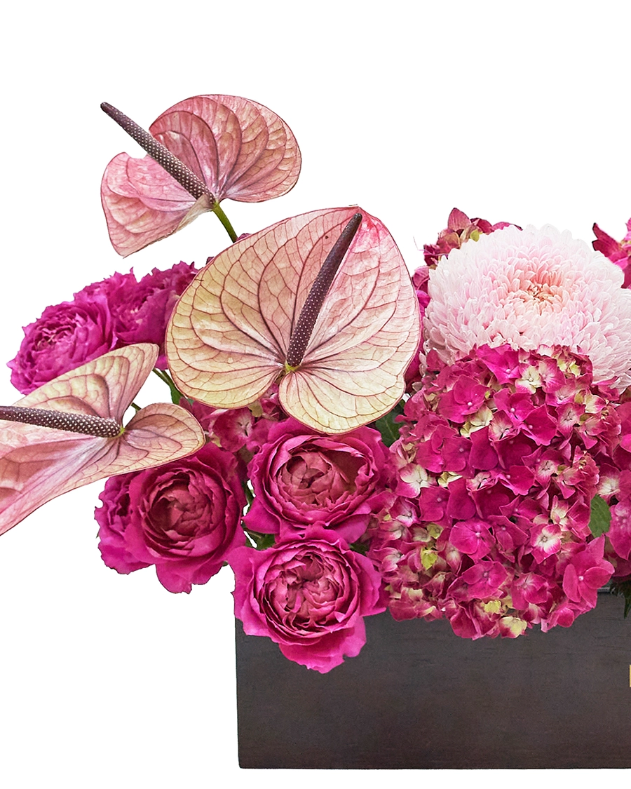 Cerise Celebration Details 2