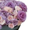 Lavender Whisper impressive Details1