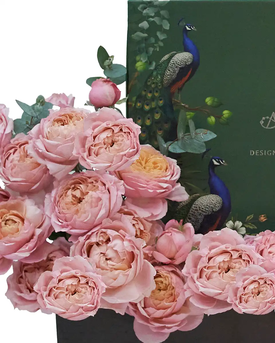 My Sweetest Julieta Details2