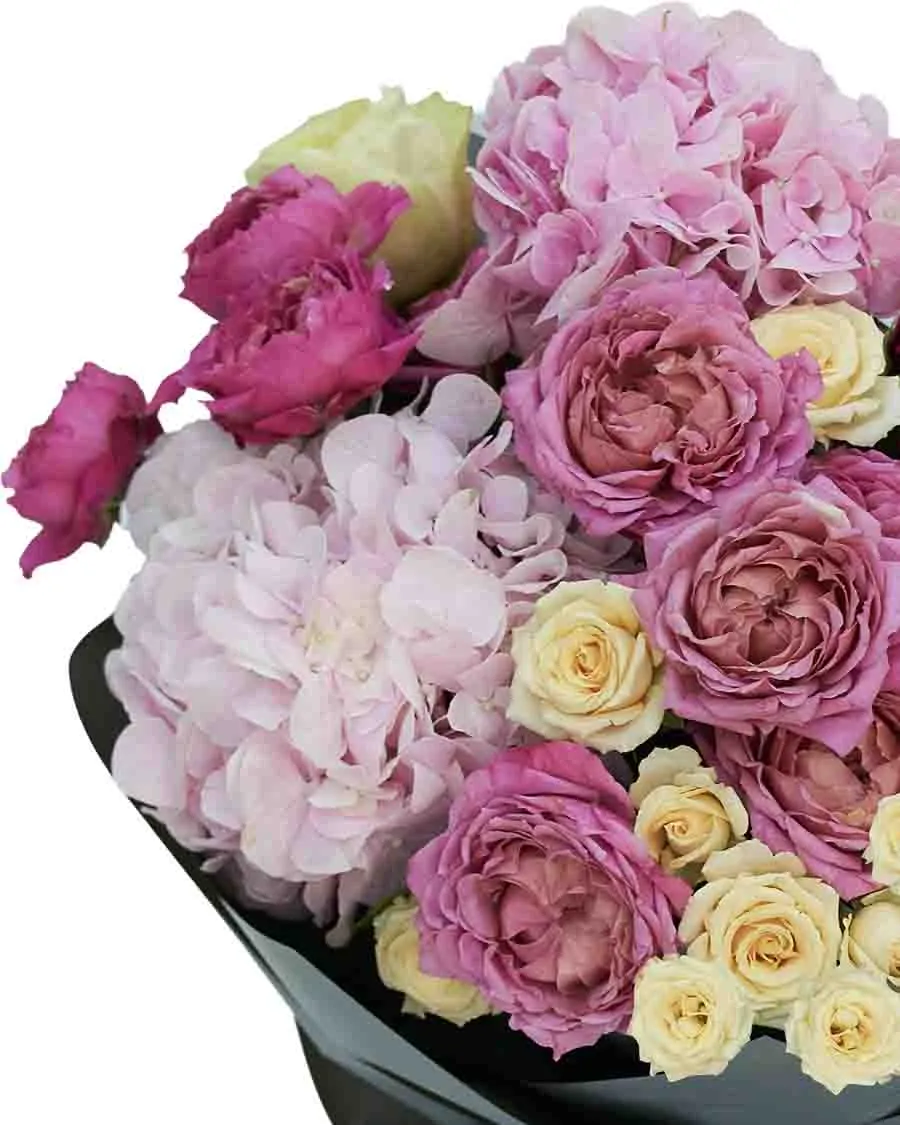 PINK LEMON GLOW Impressive Details