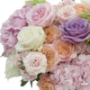 Pastel All The Way Detials2