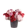 Raspberry Pop