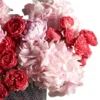 Raspberry Pop Details