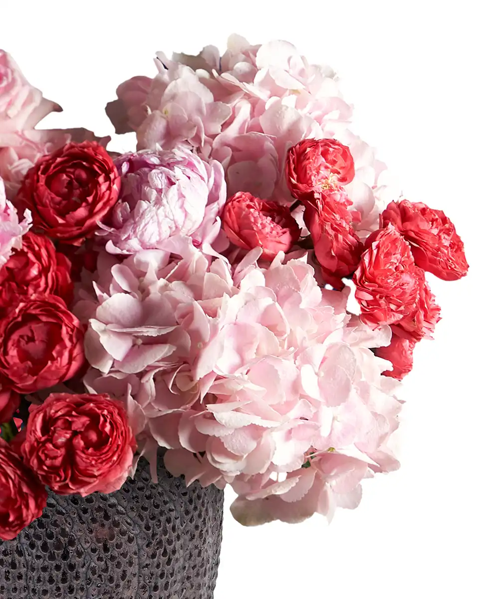 Raspberry Pop Details