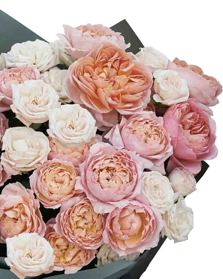 Rose Galore IMPRESSIVE detail 1