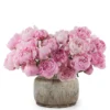 The Peony Effect