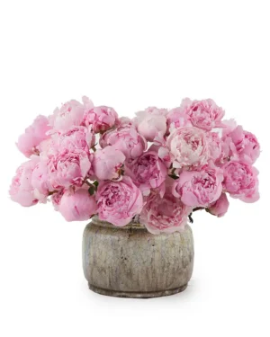 The Peony Effect