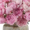 The Peony Effect Details