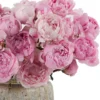 The Peony Effect Details 2