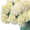 White Candy Cloud new2 White Candy Cloud new2
