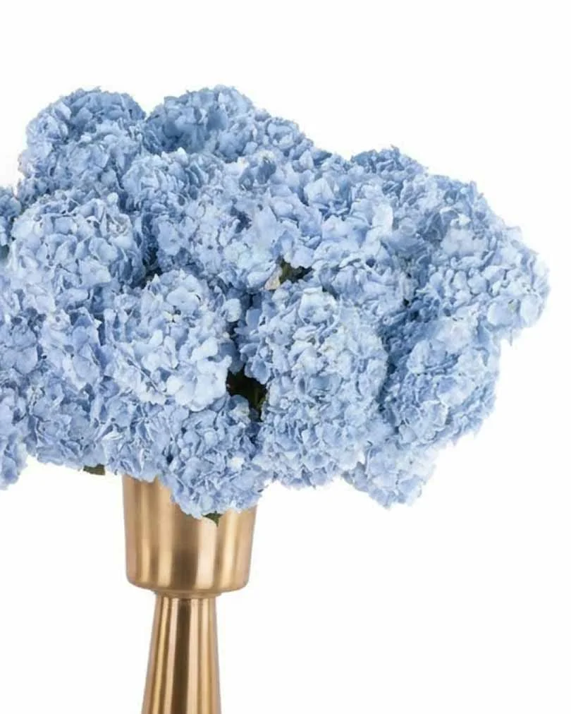 Blue Spectacle Details