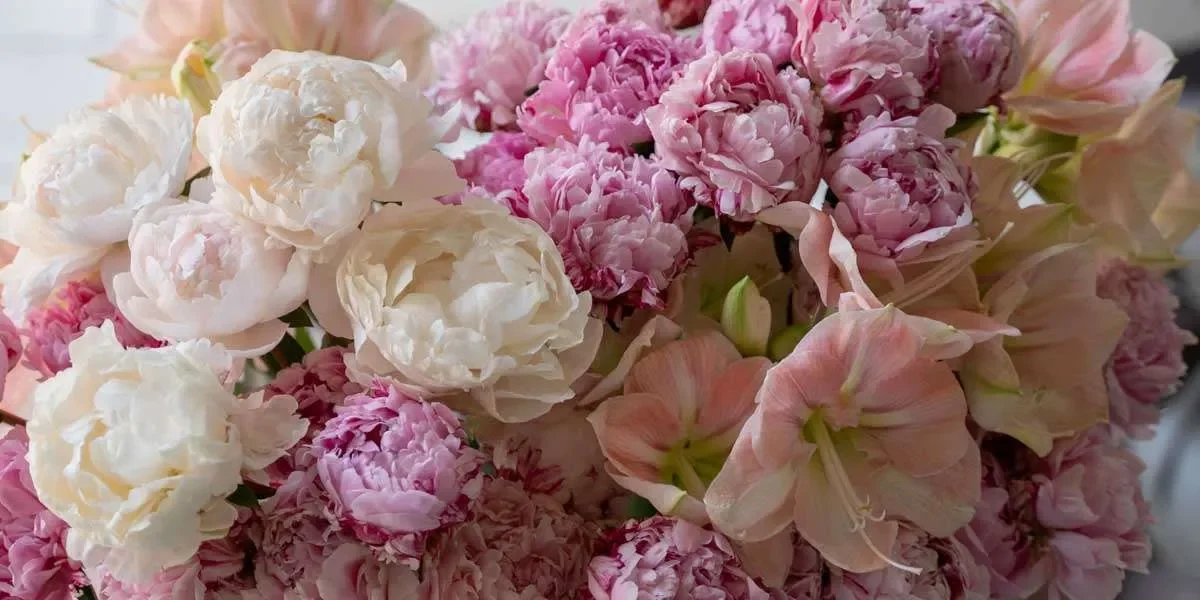 Top Picks for 18th Birthday Flowers