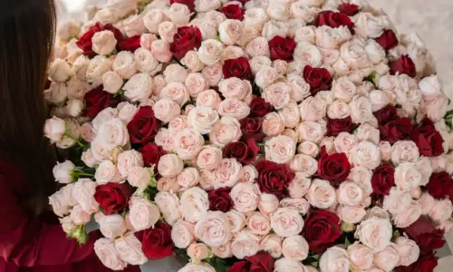 common valentines day flower questions